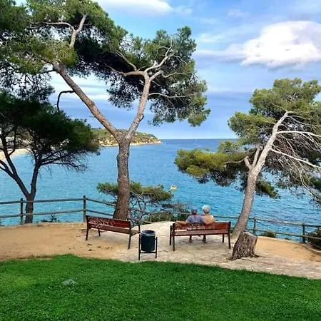 Zodiac Ab 6d Lloret de Mar
